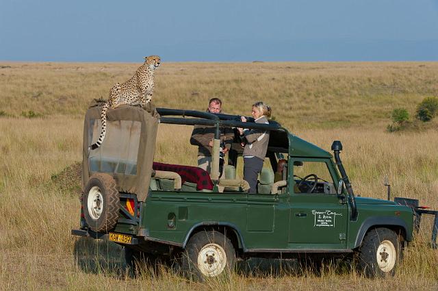 018 Kenia, Masai Mara, jachtluipaard op onze jeep.jpg